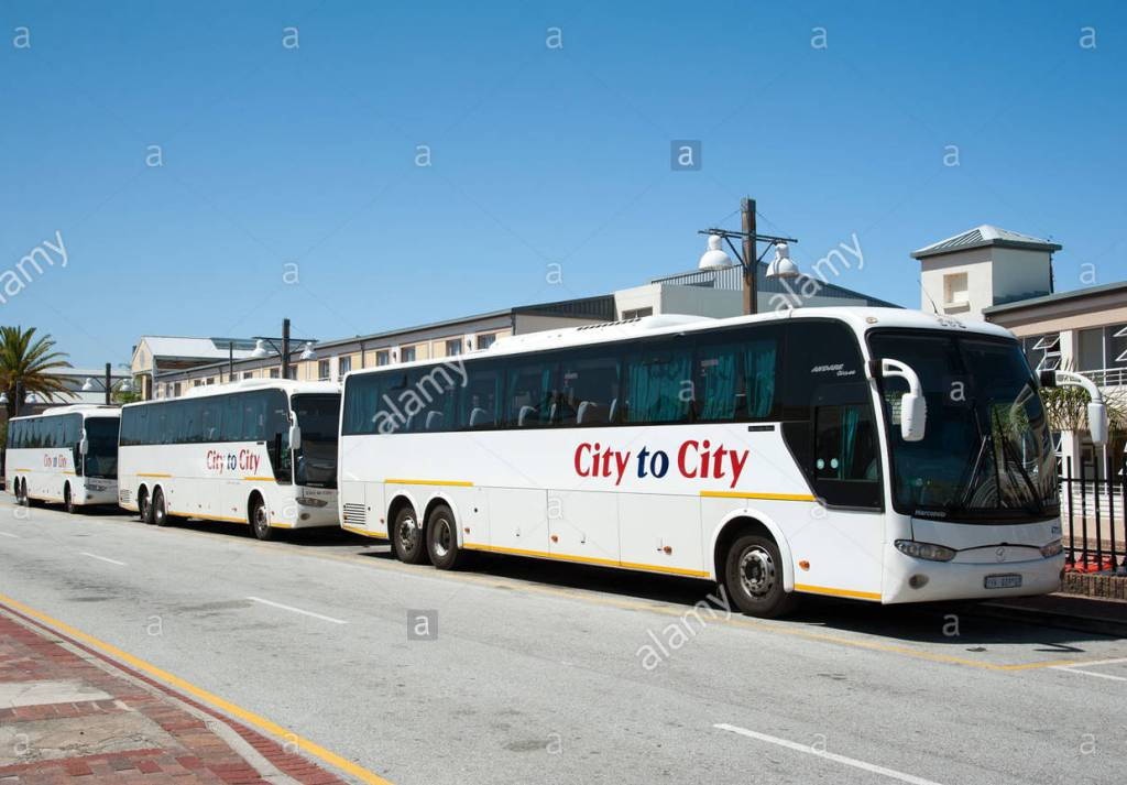 Cape Town City Bus 10 tips for the best ever Cape Town experience
