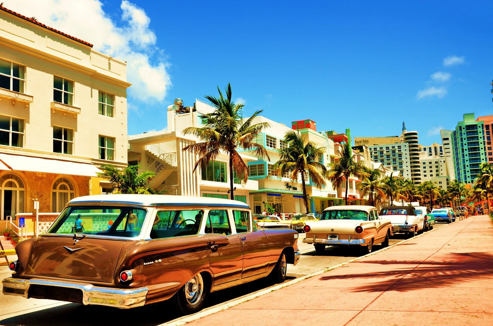 Miami Madness Attractions, Activities, & Things To Do in Miami